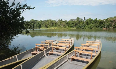 El Parque Ecológico PERLA, en Lago Agrio, es uno de los principales atractivos turísticos de la Amazonía ecuatoriana, ideal para ecoturismo, avistamiento de fauna y experiencias en la selva./ Foto: cortesía