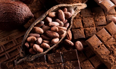 En el 2023 las ventas ascendieron a $1.322,8 millones / Foto: cortesía 