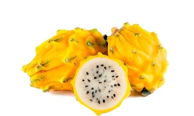 Cerca de 18 mil toneladas de pitahaya se exportaron en el 2021 / Foto: cortesía Agrocalidad