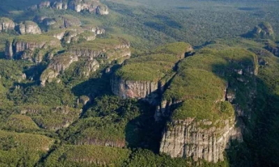 El parque fue creado en 1989 y posteriormente ampliado hasta superar los cuatro millones de hectáreas / Foto: cortesía Parques Nacionales Colombia