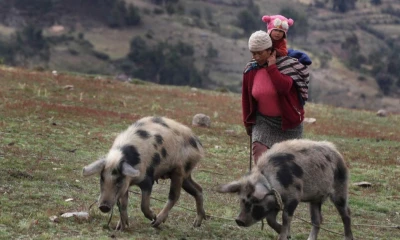 La presencia del narcotráfico y otras actividades ilícitas en la región expone a niñas, niños y adolescentes / Foto: EFE