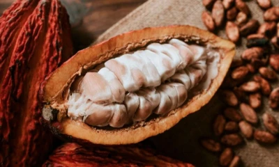 Los productos con mayor desempeño fueron el cacao y sus elaborados / Foto: cortesía Grand Sur