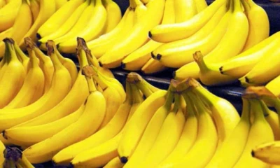 Principales noticias de Ecuador hoy - 12 de febrero de 2026 / Foto: cortesía Camae