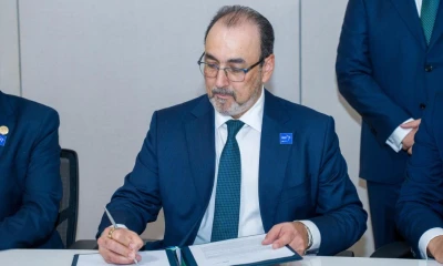 La alianza está  dirigida a fortalecer genéticamente la variedad del banano Cavendish / Foto: EFE 