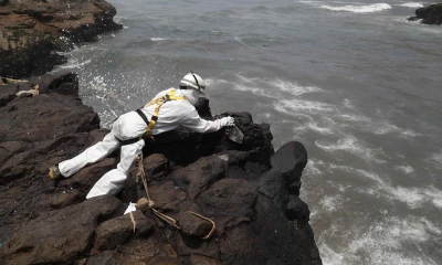 El derrame se produjo en diciembre pasado y afectó al menos a cuatro playas del distrito de Lobitos, donde se registraron cangrejos, caballitos de mar y aves cubiertos de crudo/ Foto: cortesía EFE