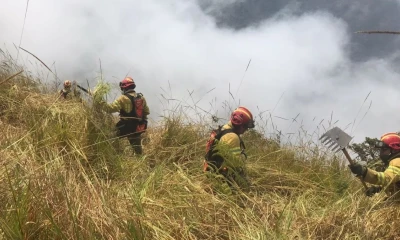 Inés Manzano, confirmó la declaratoria de emergencia nacional por crisis climática / Foto: cortesía Cuerpo de Bomberos de Cuenca
