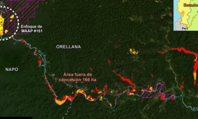 La deforestación en esta zona sufrió en 2022 un incremento del 578 % respecto a las 35 hectáreas que se habían deforestado en el periodo 2019-2021 / Foto: cortesía MAAP
