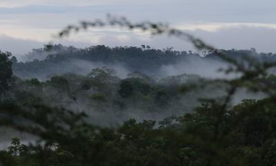 "Al país le queda el 66 % de su territorio (17 millones de hectáreas) con coberturas naturales que debemos conservar" / Foto: El Oriente 