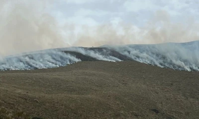 El fuego inició el lunes por causas aún desconocidas / Foto: cortesía Riesgos 