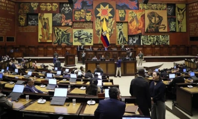Entre las resoluciones también consta la recomendación de que el Concejo Metropolitano de Quito analice el proceso de compra de los trolebuses / Foto: cortesía Asamblea Nacional