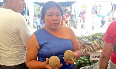 La planta en que se obtiene este producto tarda cuatro años en dar el fruto. Foto: La Hora
