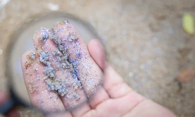 El trabajo en el laboratorio en la isla Santa Cruz permitirá entender cuál es el componente de plástico que está contaminando esa zona de las Islas Galápagos y también cómo impactan a los ecosistemas costero marinos./ Foto: cortesía