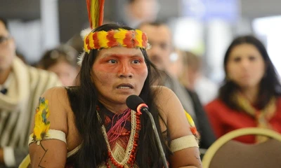 El Yasuní también es el hogar de los tagaero, taromenane y dugakaeri / Foto: cortesía 