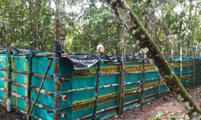 Estas piscinas artesanales están siendo utilizadas para almacenar gasolina blanca / Foto: cortesía FF. AA.