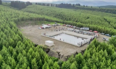 La industria forestal ecuatoriana registró exportaciones por 737,8 millones de dólares / Foto: cortesía AIMA