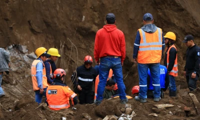 La medida comprende 152,22 hectáreas en zonas de Namza Chico, Pazán, Quebrada La Ninfa, UE Eloy Alfaro y Puente Chachán, de la parroquia Huigra/ Foto: Cortesía EFE