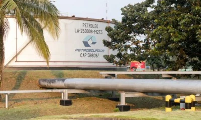 Imagen referencial. Petroecuador informó que planificó la construcción de una nueva variante del Oleoducto Transecuatoriano en San Rafael. Foto: Petroecuador