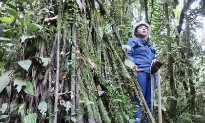 El gremio del sector energético apuntó que se debe informar a la ciudadanía desde tres ejes fundamentales: económico, ambiental y social / Foto: EFE