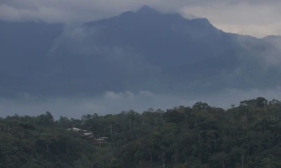 La ley también permitirá que la Policía Nacional y las Fuerzas Armadas apoyen la vigilancia de las reservas naturales / Foto: El Oriente