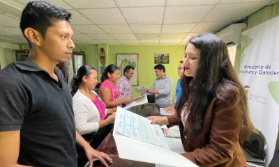 Alrededor de 2.071 hectáreas que se han legalizado para el desarrollo socioeconómico y productivo de las familias campesinas de Napo / Foto: cortesía ministerio de Agricultura