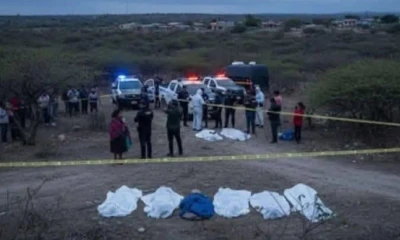 Agentes de la Policía y de Criminalística buscan determinar si los cuerpos corresponden a seis jóvenes que fueron reportados como desaparecidos / Foto: cortesía