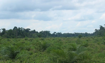 Principales noticias de Ecuador hoy - 2 de agosto de 2024 / Foto: EFE