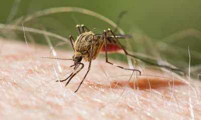 Orellana y Pastaza han sido las provincias más afectadas / Foto: cortesía 