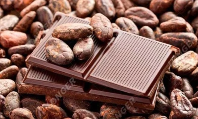 El cacao es el segundo producto no petrolero más importante del Ecuador y constituye la base de ingresos para más de 180.000 familias productoras / Foto: cortesía
