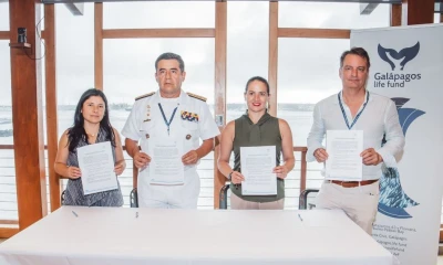 El Galápagos Life Fund administra los fondos del canje de deuda para la conservación de las Islas Galápagos / Foto: cortesía GLF