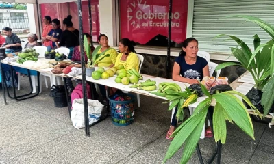 Se promocionaron varios productos como: artesanías, textiles, manualidades, plantas y alimentos amazónicos/ Foto: Cortesía MIES