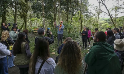 El Chocó Andino es una reserva de la biosfera situada dentro del área metropolitana de Quito/ Foto: cortesía EFE