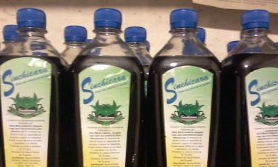 Es popular por sus propiedades para contrarrestar el reumatismo, artritis y rinitis/ Foto: cortesía