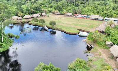 El estudio permitió recopilar conocimientos tradicionales sobre el uso sostenible de plantas, animales y hongos. / Foto: cortesía IIAP
