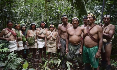  El "primer caso COVID reportado en la comunidad Waorani" se trata de "una mujer gestante, de 17 años. Foto: AFP