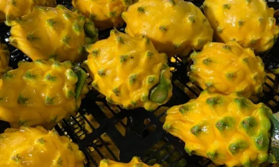 Las exportaciones no petroleras de El Oriente suman $ 1.037 millones hasta septiembre y crecen 124 / Foto: cortesía