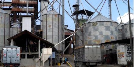 Gobierno amplía centros de acopio para la compra pública de arroz