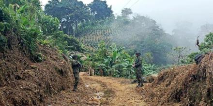 La Policía detiene a quince personas por delitos ambientales en la Amazonía colombiana 