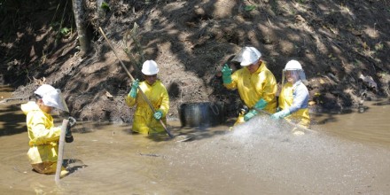 Petroecuador crea 913 empleos verdes y avanza en la recuperación ambiental