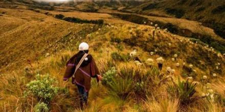Ecuador lanzó el primer 'token' ambiental