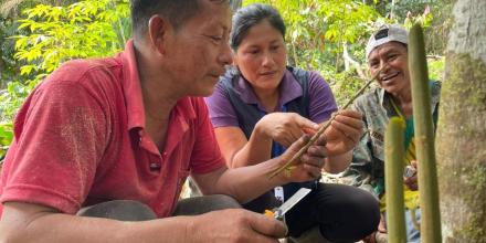 Productores se capacitan para revitalizar la producción de cacao en Archidona