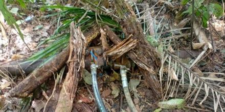 El Ejército encontró 6 piscinas clandestinas esta semana en Sucumbíos El Ejército encontró 6 piscinas clandestinas esta semana en Sucumbíos