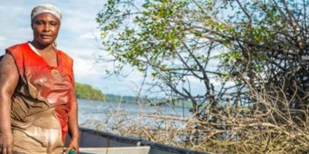 Acción comunitaria es impulsada para proteger el manglar en Ecuador