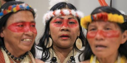 La mitad de 196 grupos indígenas aislados podría desaparecer en 10 años, alerta informe