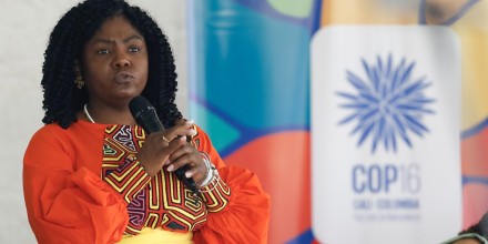 Ecuador condenó ataque contra la vicepresidenta de Colombia