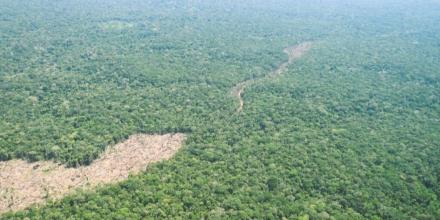 La deforestación en la Amazonía colombiana amenaza áreas protegidas e indígenas 
