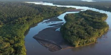 Perú: 6 especies de flora y fauna fueron halladas en la Amazonía 