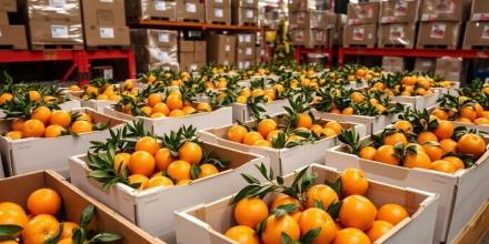 Ecuador refuerza presencia en bananas y mandarinas en Uzbekistán