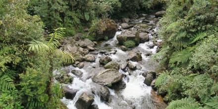 Ecuador amplió red de áreas para la conservación con la Reserva Drácula