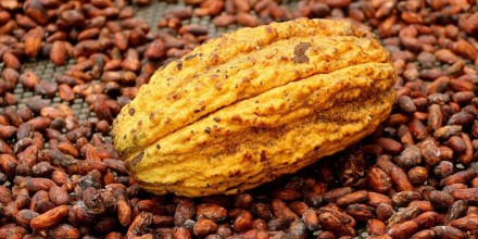 Exportaciones de Ecuador crecerían a menor ritmo en el primer semestre de 2026