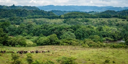 Sectores de la Amazonía colombiana piden espacio en el debate presidencial